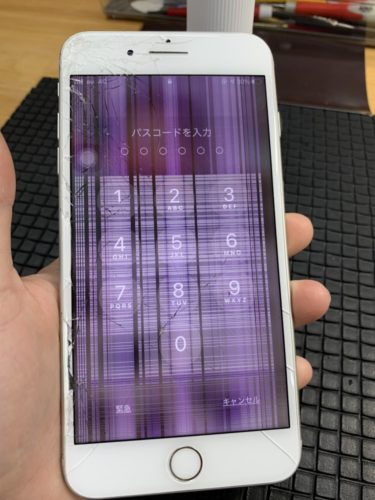 8p-%e6%b6%b2%e6%99%b61%e3%80%80%e9%b6%b4%e3%83%b6%e5%b3%b6%e3%80%8020201119%e3%80%80